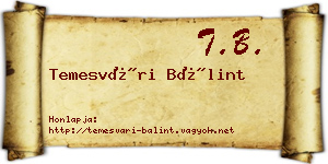 Temesvári Bálint névjegykártya