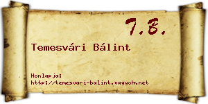 Temesvári Bálint névjegykártya