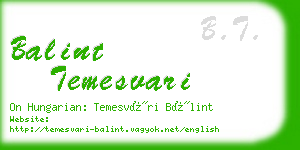 balint temesvari business card